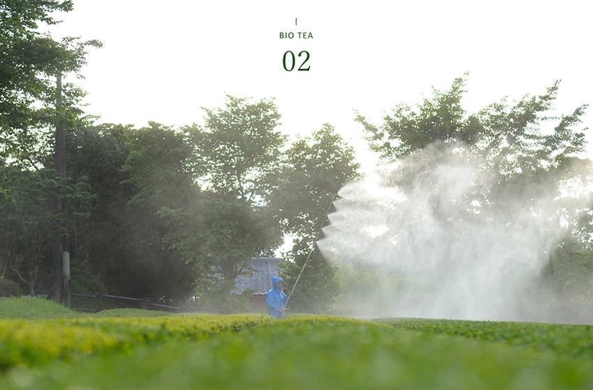 自然のバイオリズムに合わせたお茶づくり。