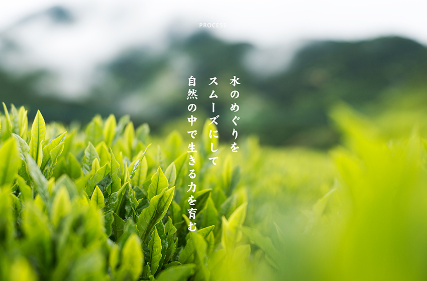 水のめぐりをスムーズにして自然の中で生きる力を育む